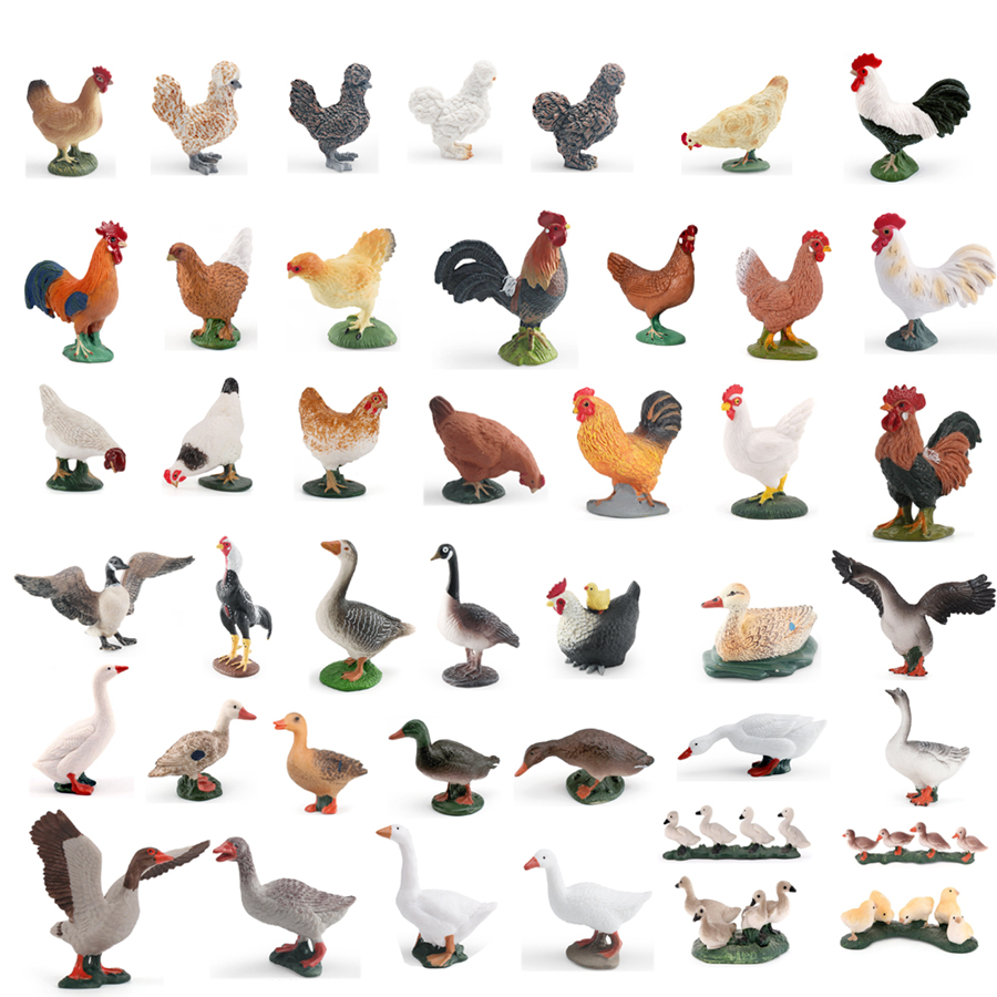 Simulation Farm Poultry Animal - Interior Design House avis et prix