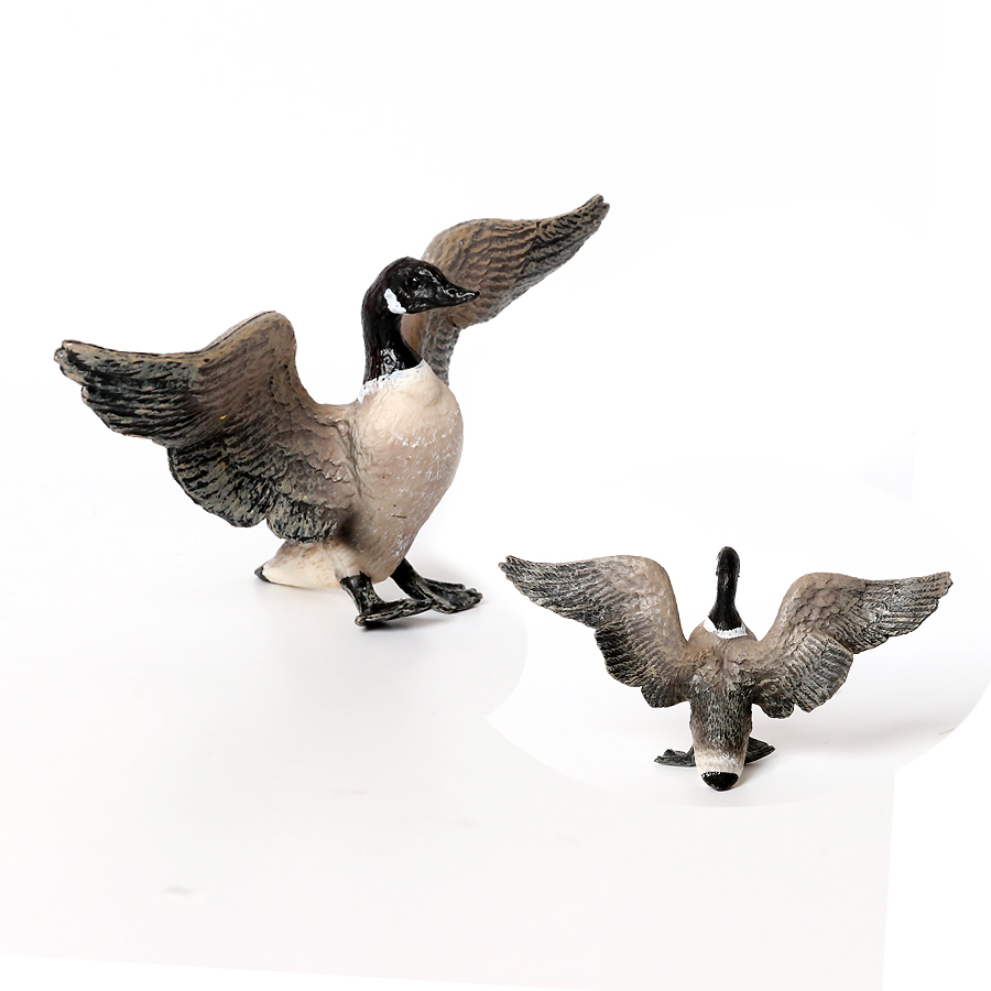 Simulation Farm Poultry Animal - Interior Design House avis et prix